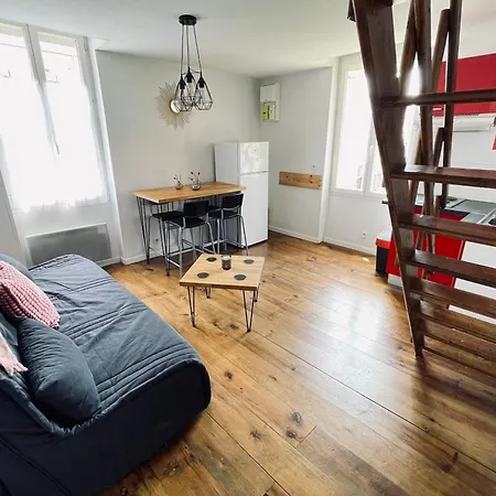 Apartment Duplex In The Heart Of Toulouse