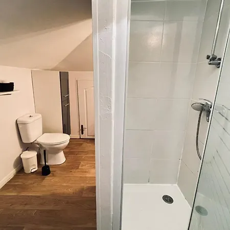 Duplex In The Heart Of Apartment Toulouse